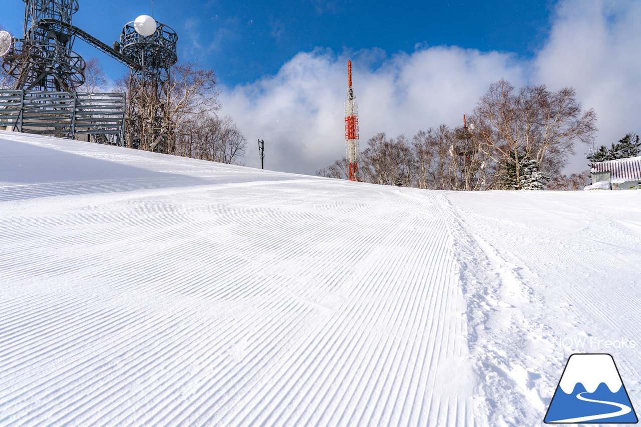 サッポロテイネ｜久しぶりの降雪で粉雪コンディション復活！ゲレンデ上部、2本の中斜面が絶好調(*^^)v